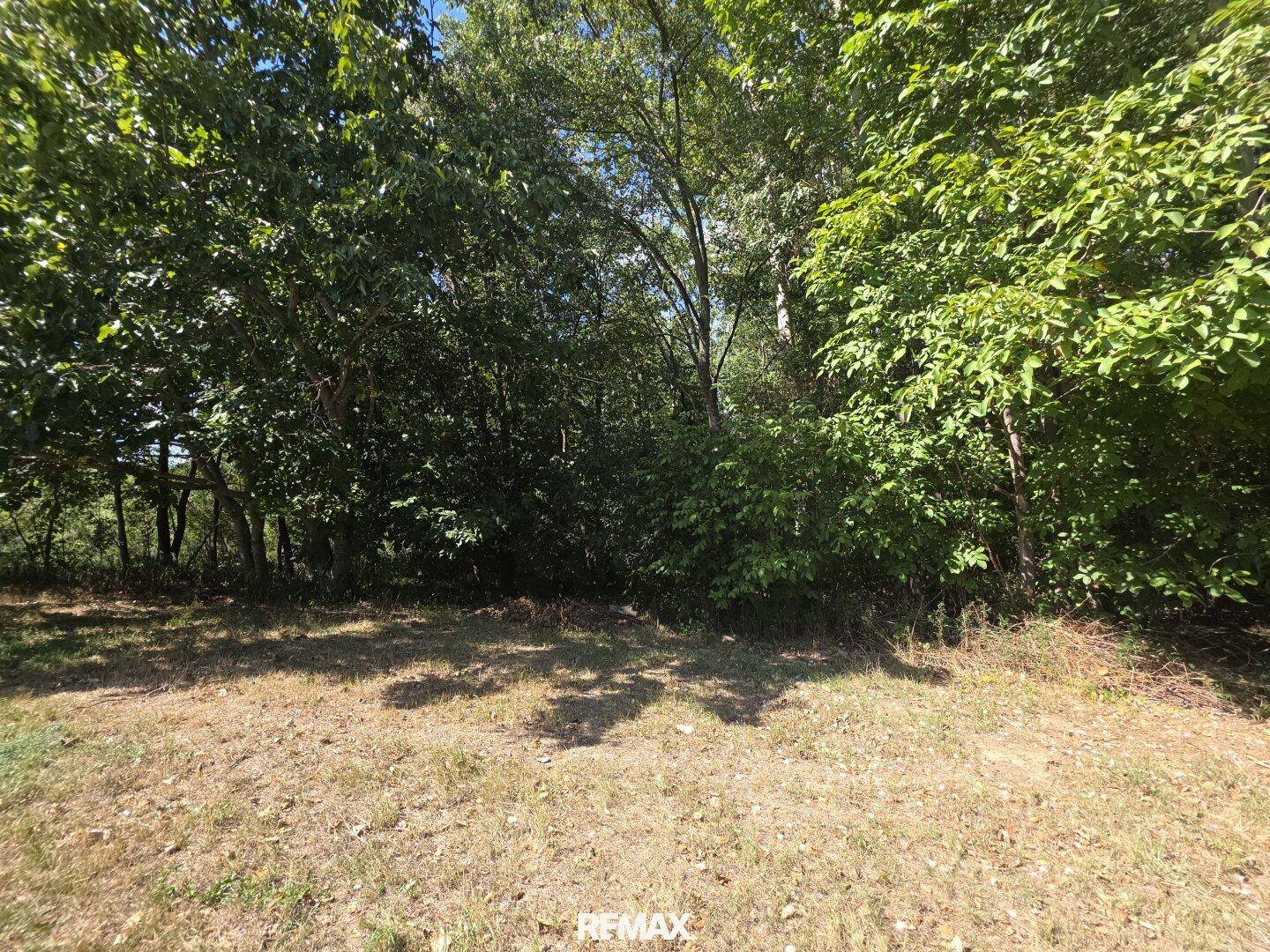Weitläufige Gartenfläche mit trockenem Gras und dichtem Baumbestand am Rand.