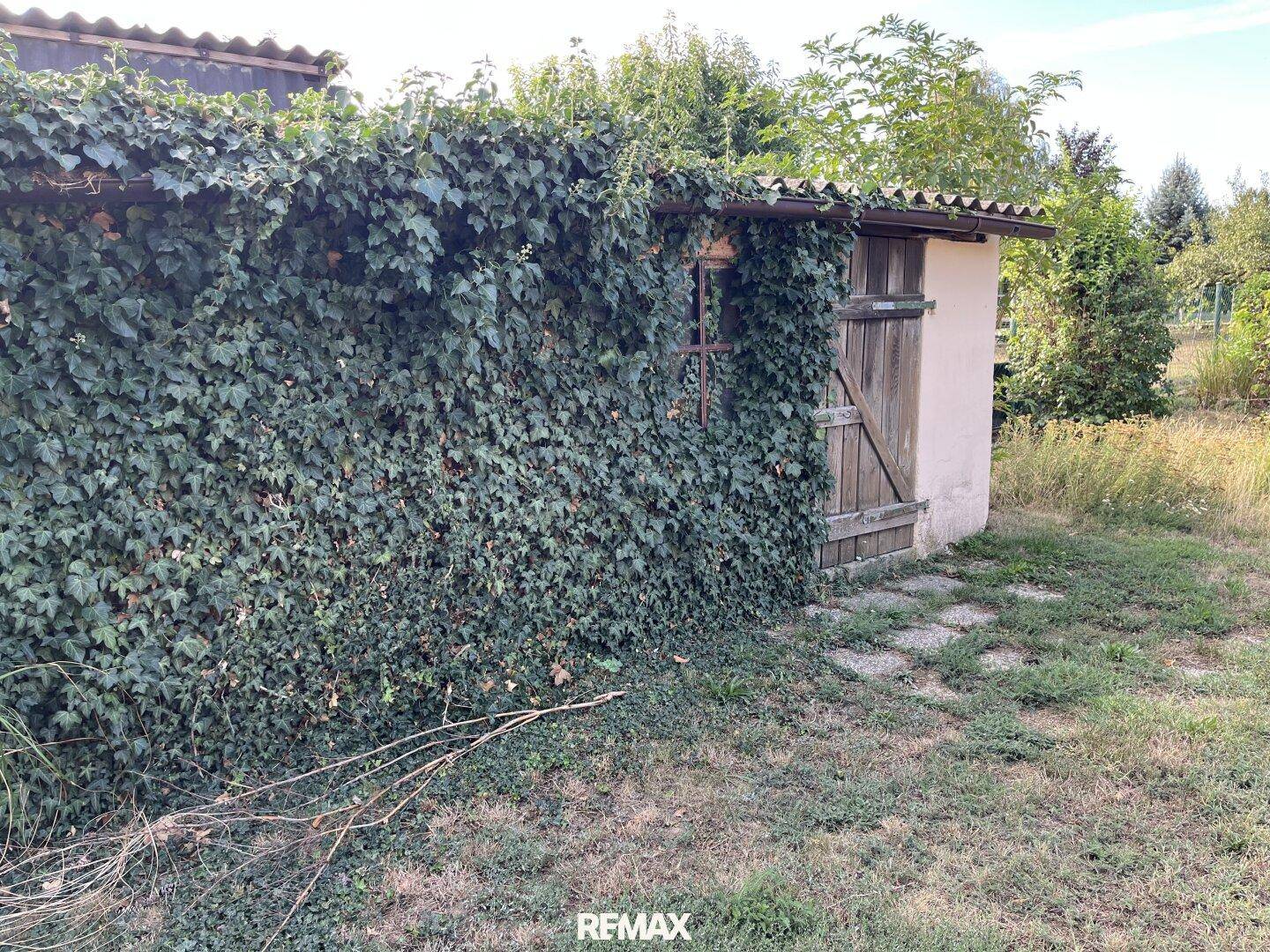 Kleiner Schuppen oder Nebengebäude, teilweise mit Efeu bewachsen, in einem Gartenbereich.