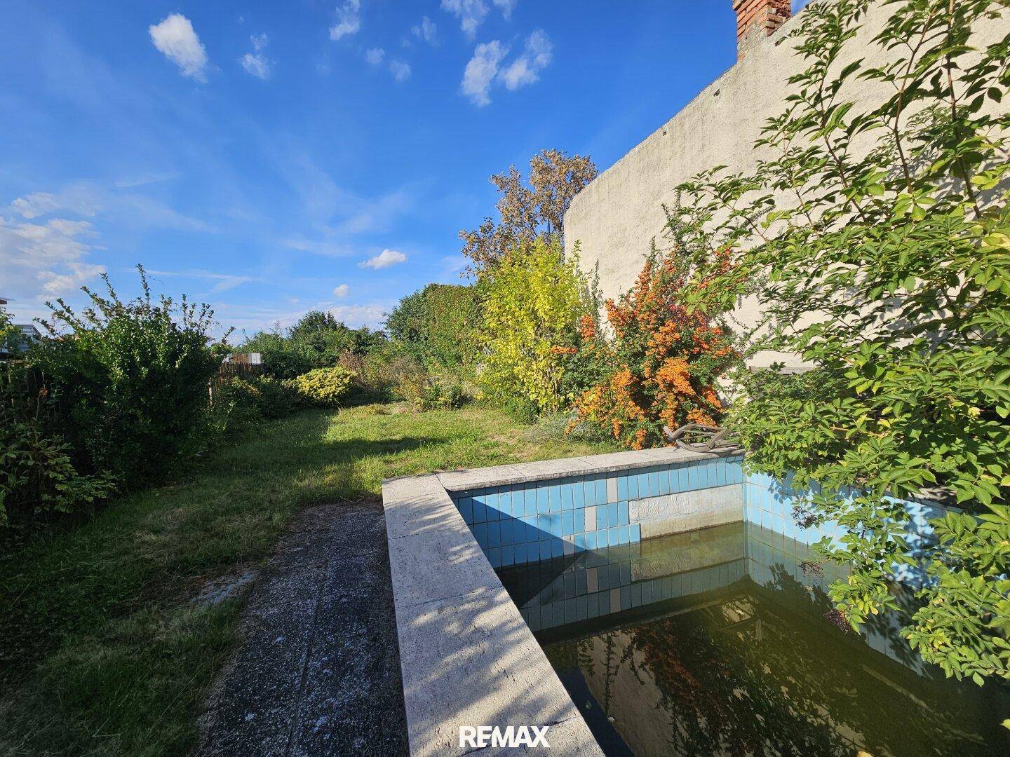 Garten mit einem eingelassenen Pool und üppiger Vegetation unter blauem Himmel.