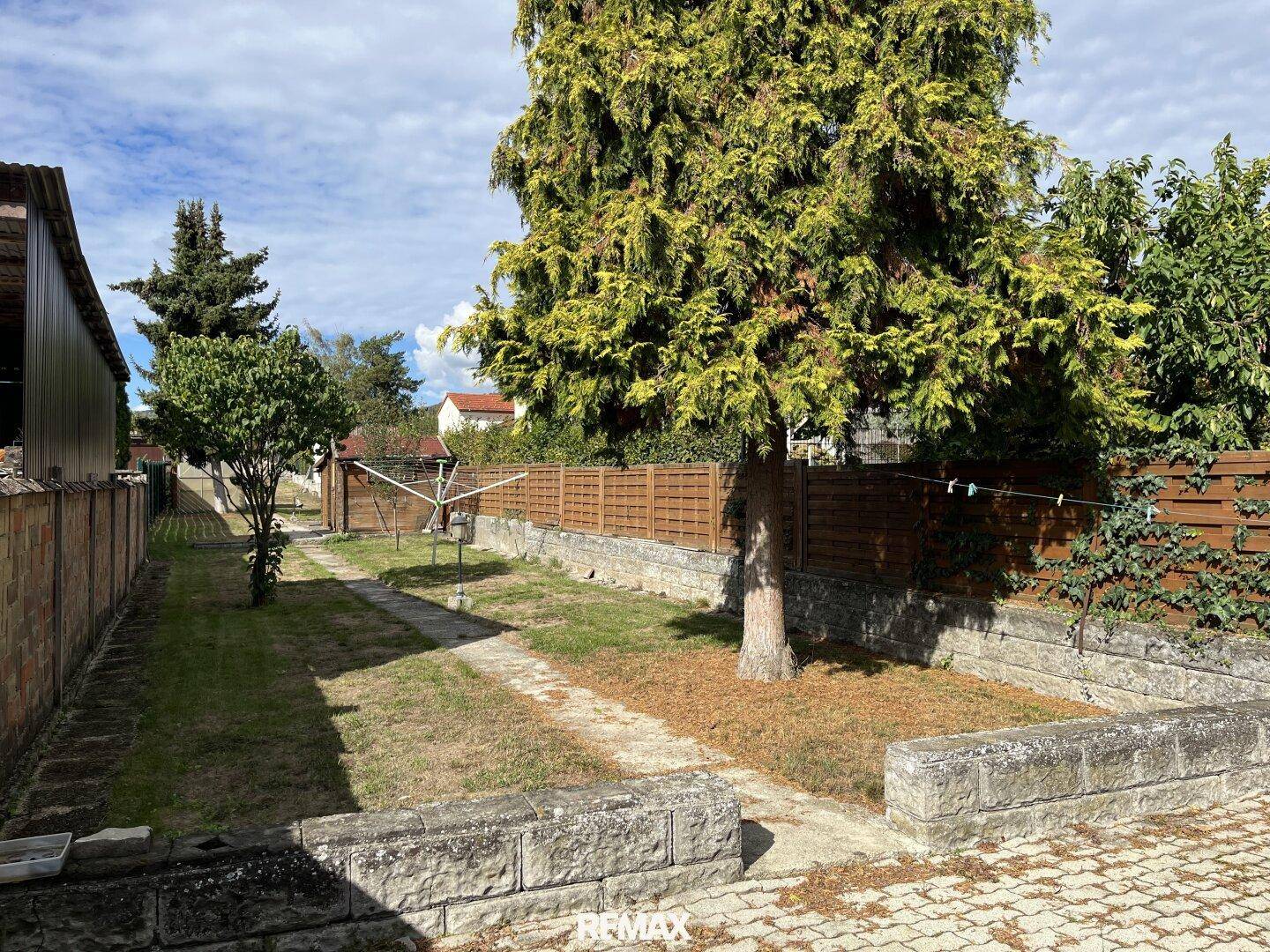 Großer Gartenbereich mit Rasenfläche, gepflastertem Weg und hohen Bäumen.