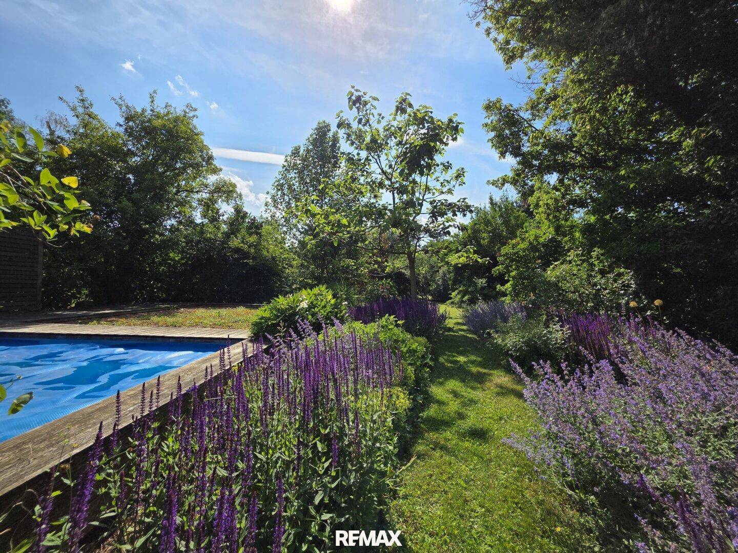 Weitläufiger Garten mit einem Pool, umgeben von blühenden Lavendelbüschen und hohen Bäumen unter blauem Himmel.