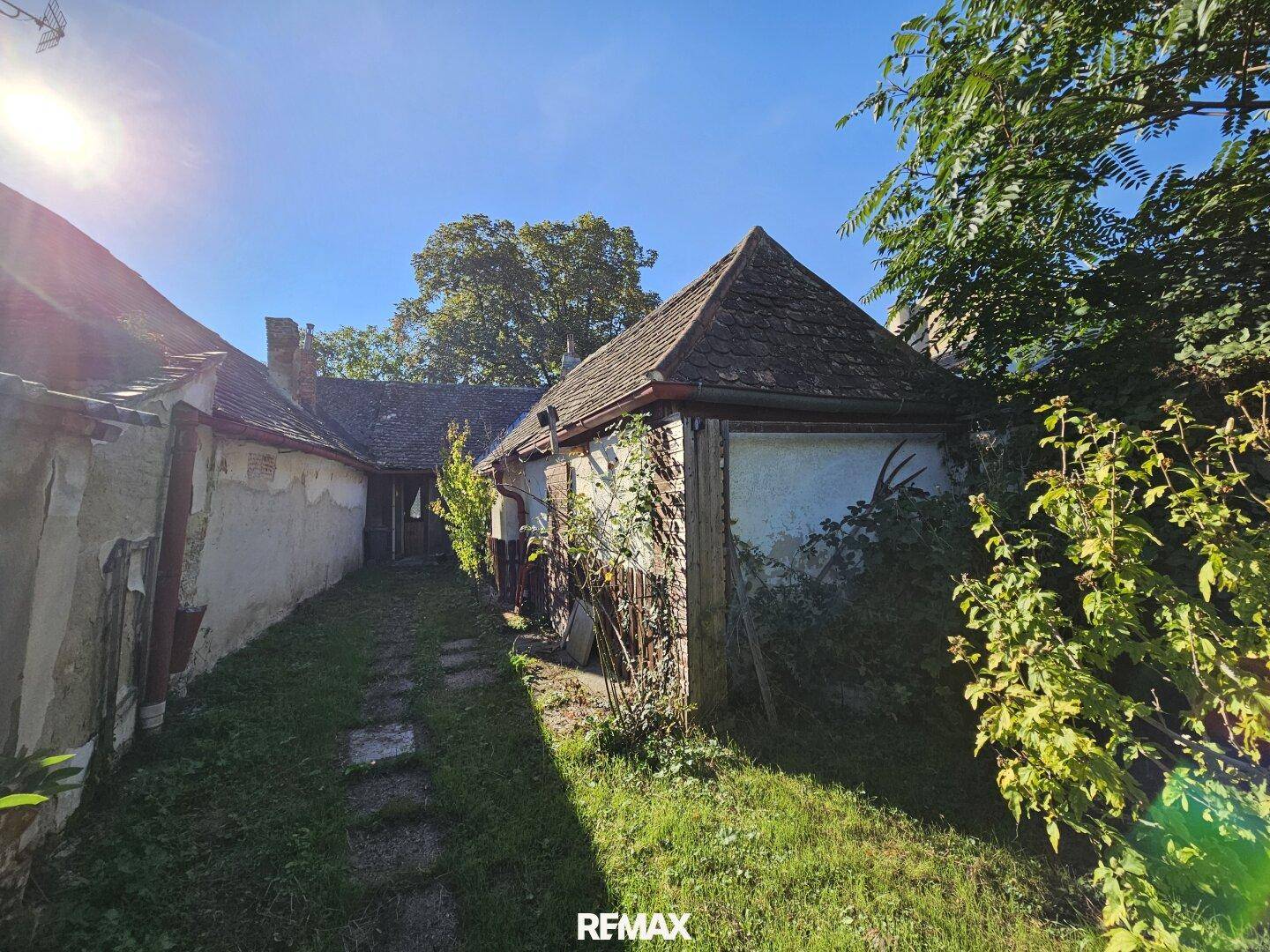 Seitenansicht des Hauses mit verwachsenem Weg und Nebengebäude im Grünen.
