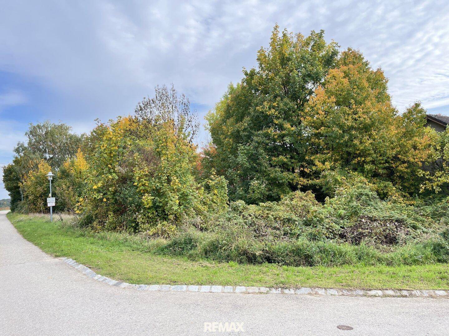 Unbebautes Grundstück mit üppiger Vegetation und angrenzender Straße in ländlicher Umgebung.