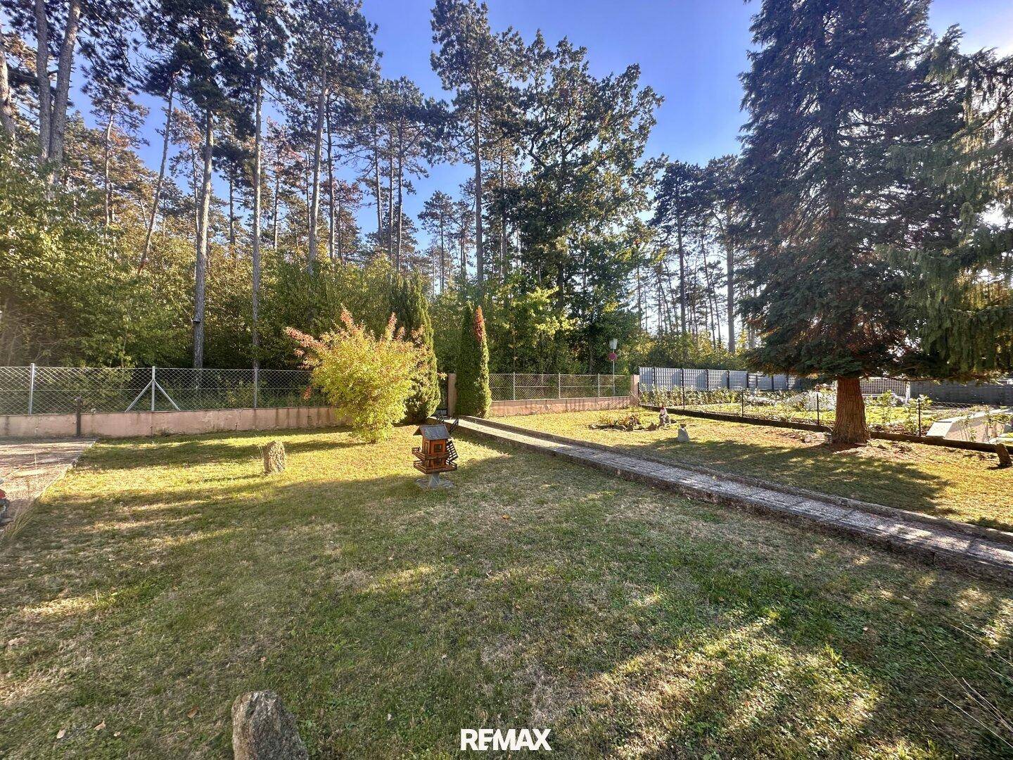 Weitläufiger Gartenbereich mit Rasenfläche, Steinweg und hohen Bäumen im Hintergrund.