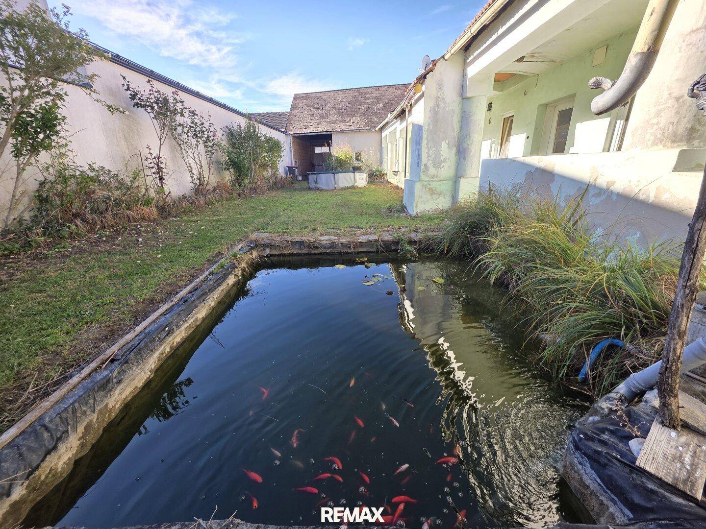 Gartenbereich mit einem Teich voller Zierfische und umgebender Bepflanzung.