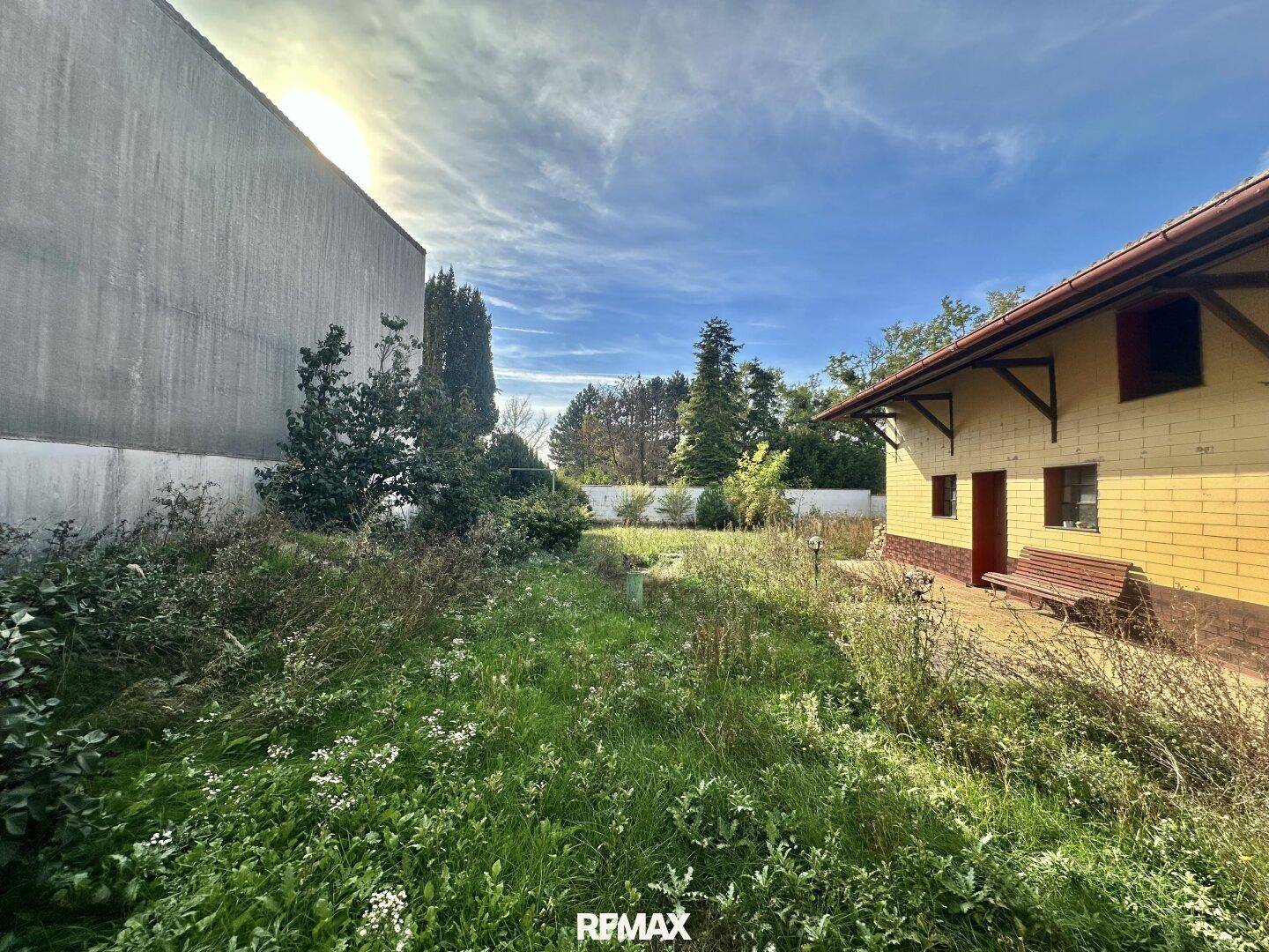 Blick auf den verwilderten Gartenbereich mit dem Haus im Hintergrund und einer Holzbank an der Fassade.