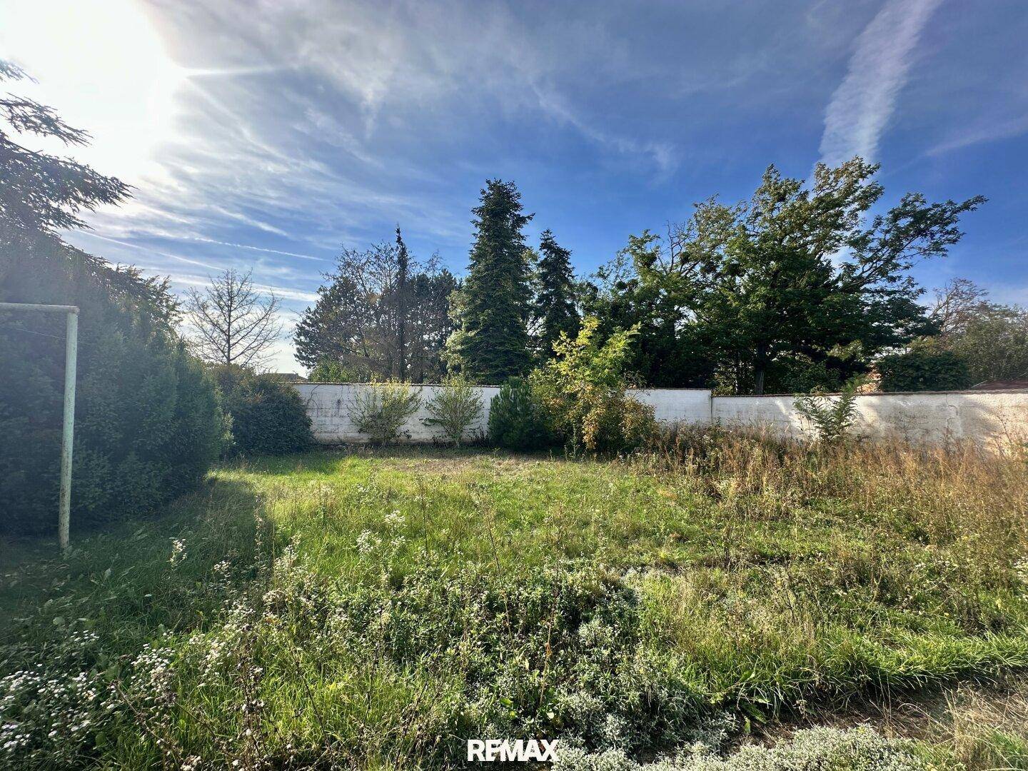 Weitläufiger, verwilderter Gartenbereich mit hohem Gras, umgeben von einem Zaun und Bäumen im Hintergrund.