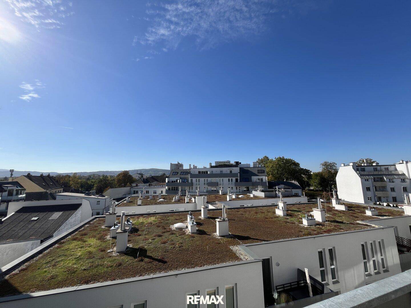Weitblick über begrünte Dächer und die umliegende Landschaft unter blauem Himmel.