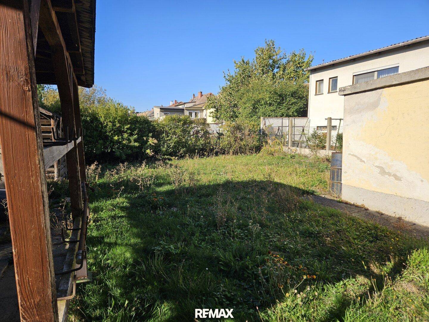 Großer, ungenutzter Gartenbereich mit Rasenfläche und Bäumen im Hintergrund.