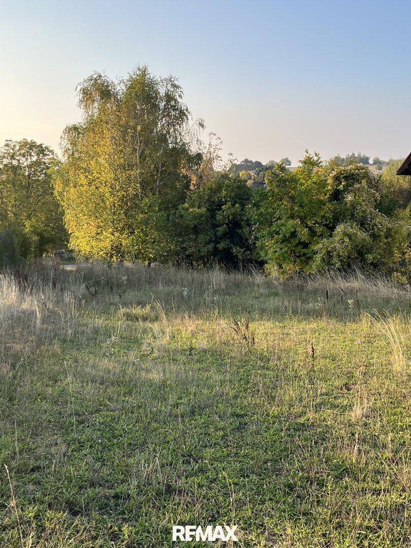 Weitläufiges, ungenutztes Grundstück mit hohem Gras und Bäumen im Hintergrund unter blauem Himmel.