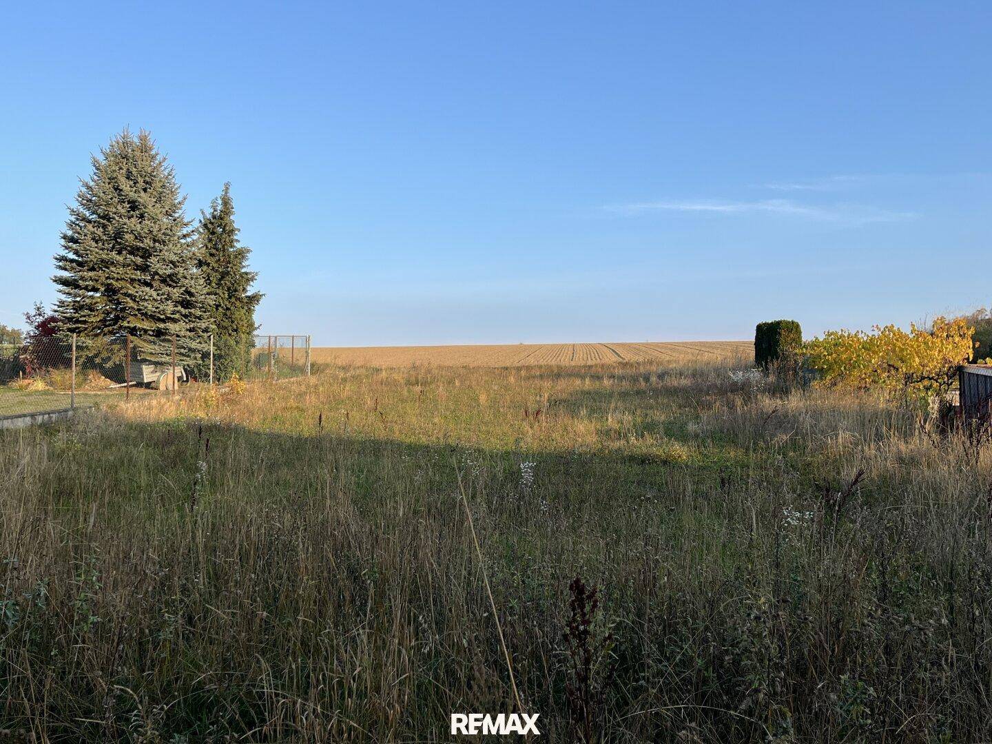 Weitläufiges Feld mit hohem Gras und Blick auf landwirtschaftlich genutzte Flächen in der Ferne.