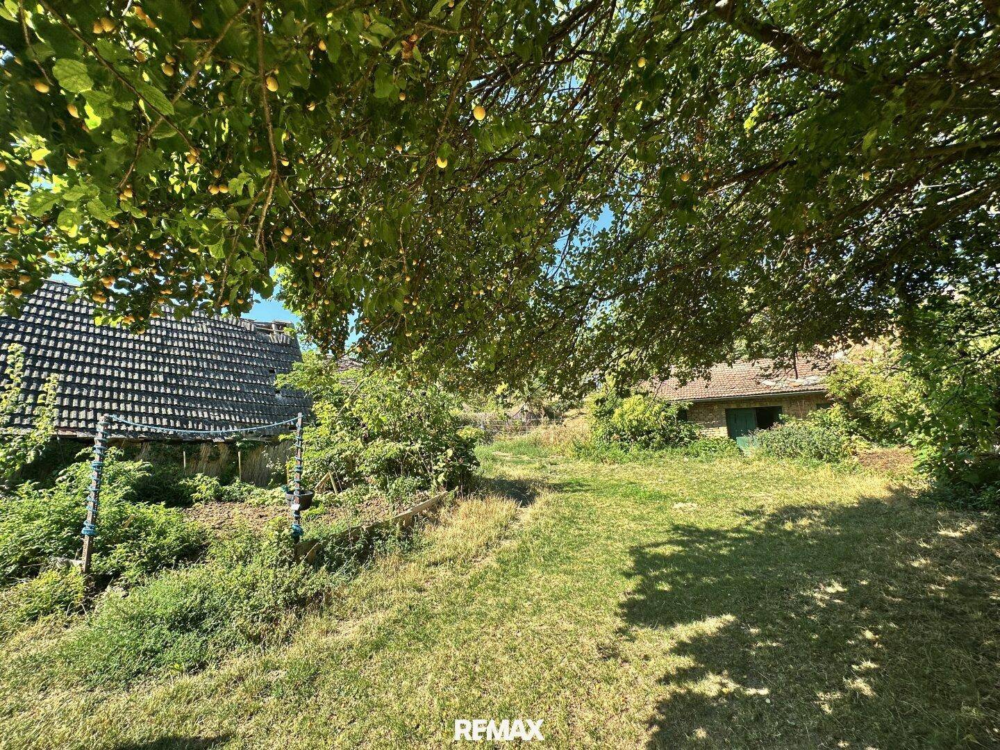 Weitläufiger Garten mit altem Baumbestand, Rasen und einem rustikalen Gebäude im Hintergrund.
