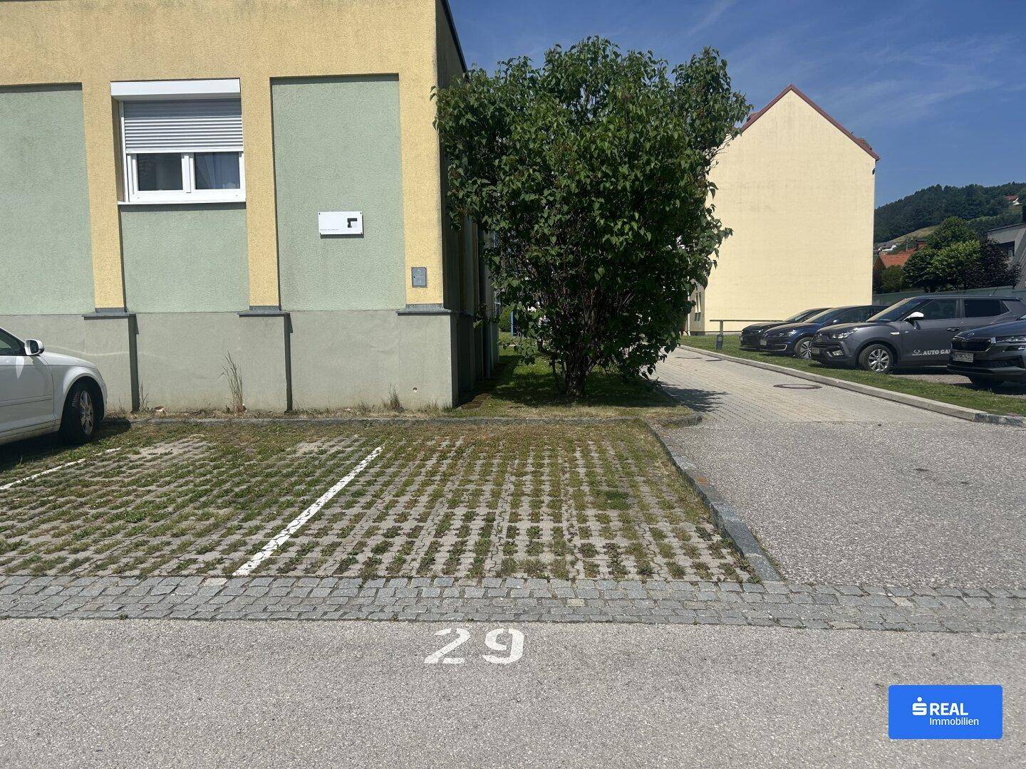Slide 7
