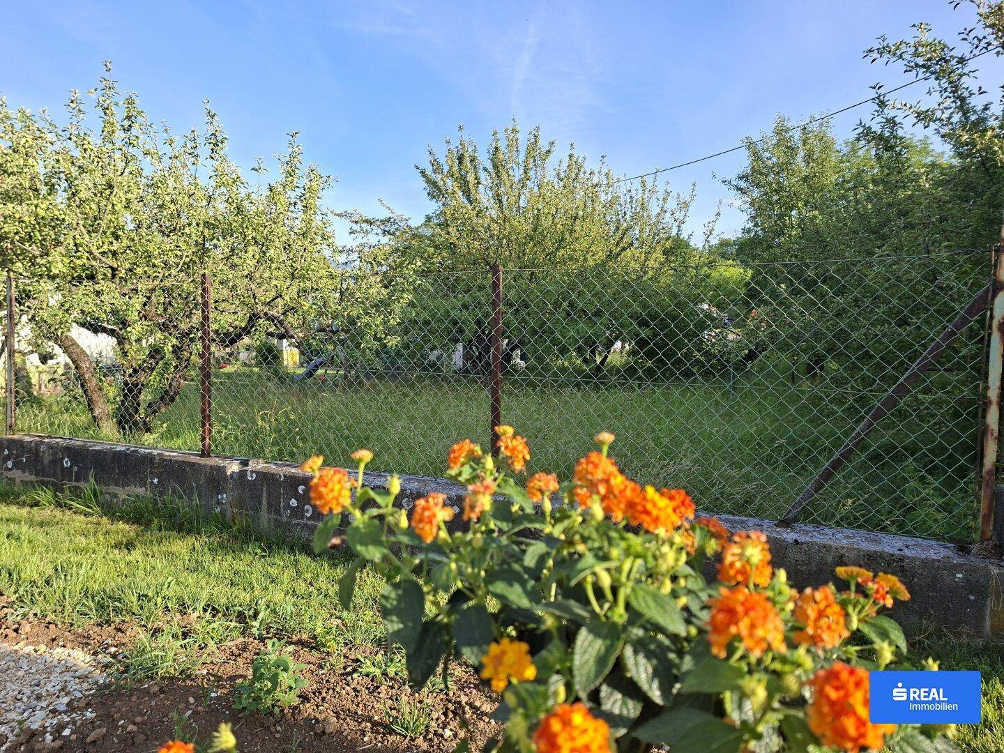 Gartenbereich mit Zaun, blühenden orangefarbenen Pflanzen und Obstbäumen im Hintergrund unter blauem Himmel.