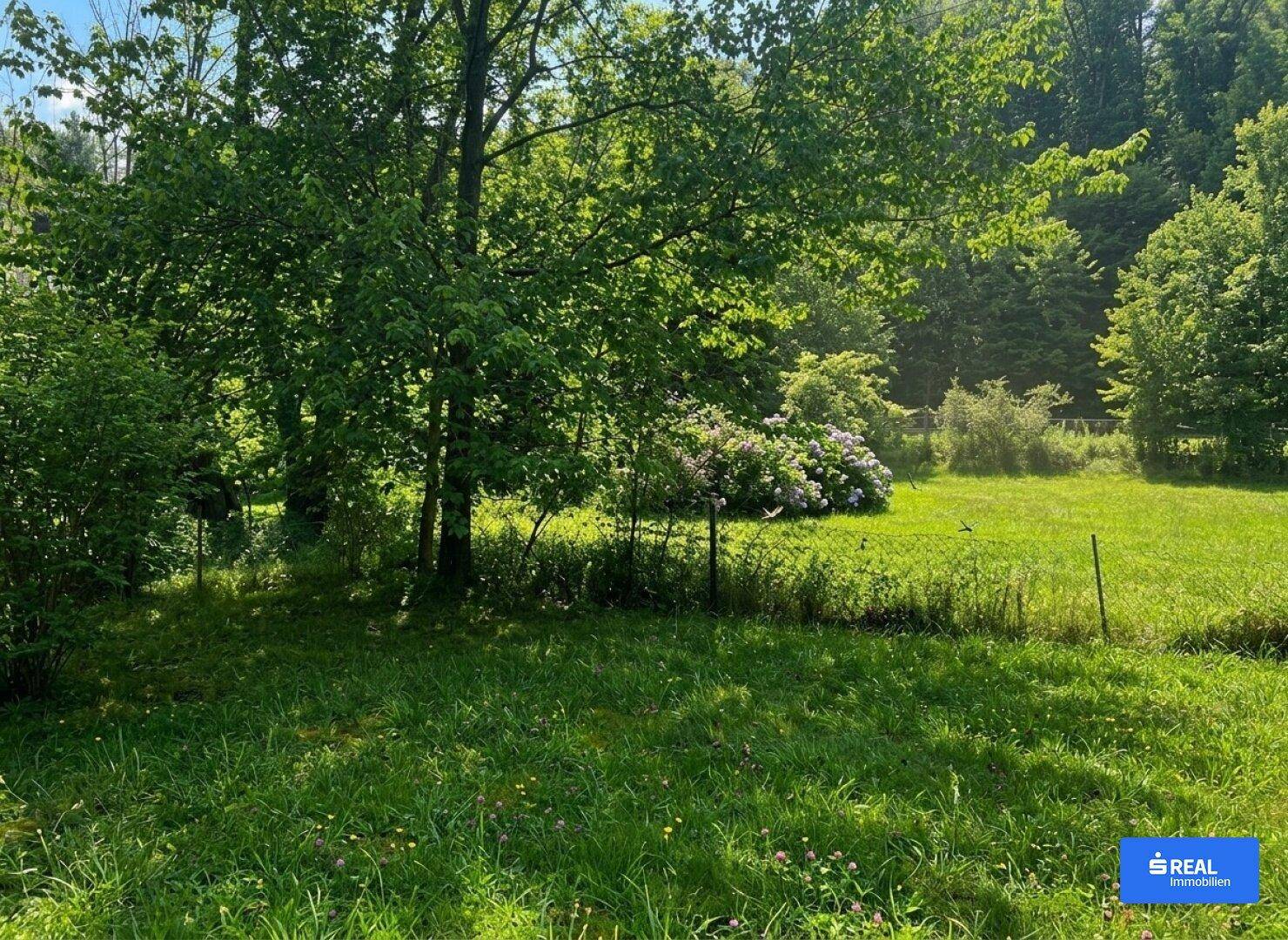 Weitläufige grüne Gartenfläche mit Bäumen und Sträuchern, umgeben von Natur.