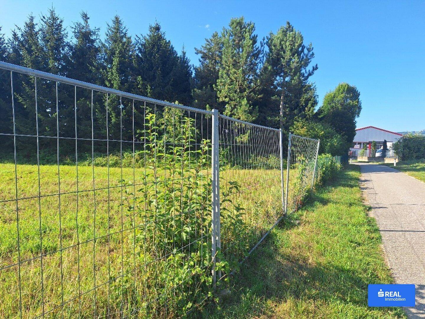 Grünfläche mit temporärem Metallzaun und einem befestigten Weg, umgeben von Bäumen.
