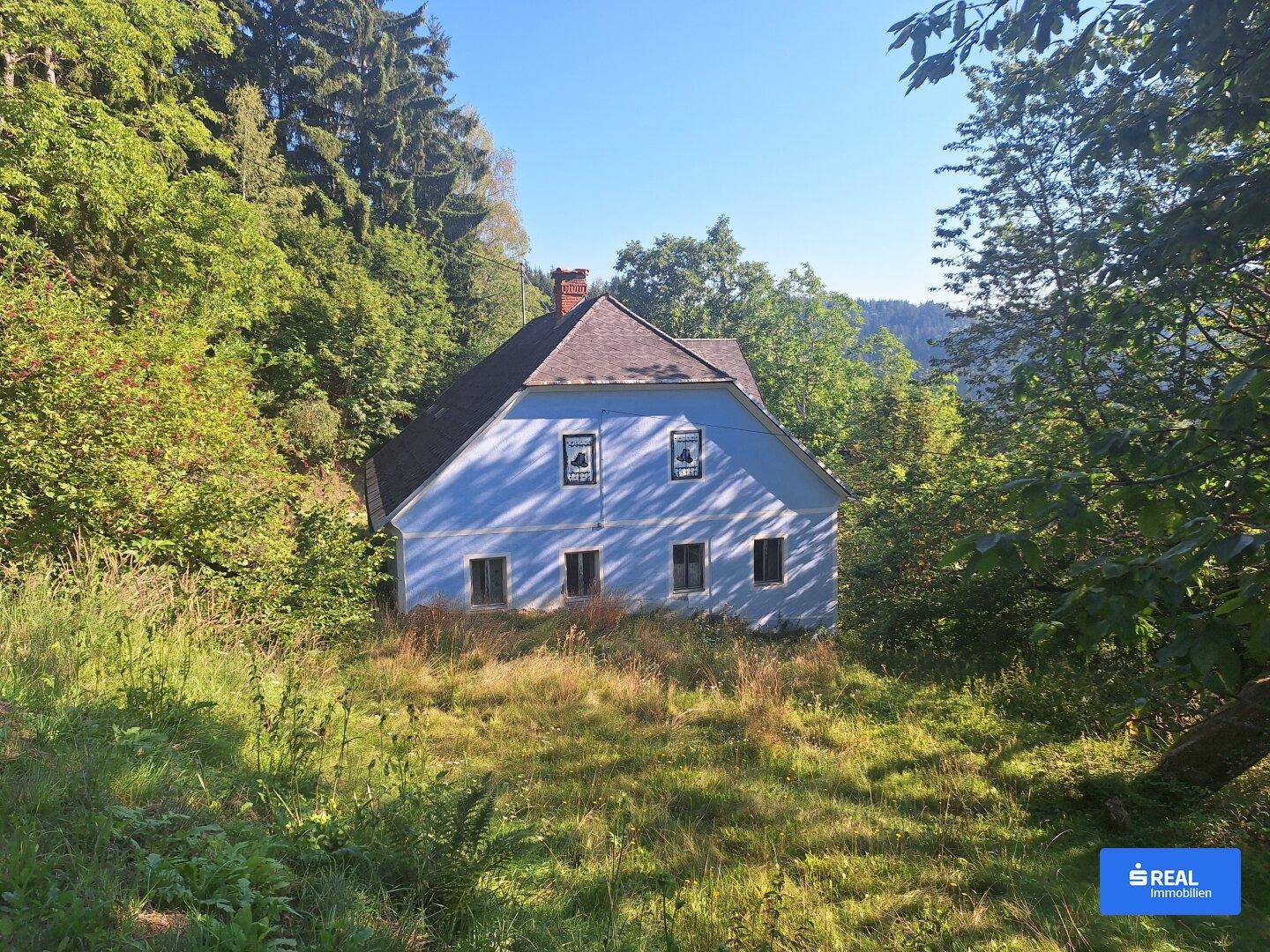 Blaues Landhaus mit rotem Dach, umgeben von üppiger Vegetation und Bäumen unter blauem Himmel.