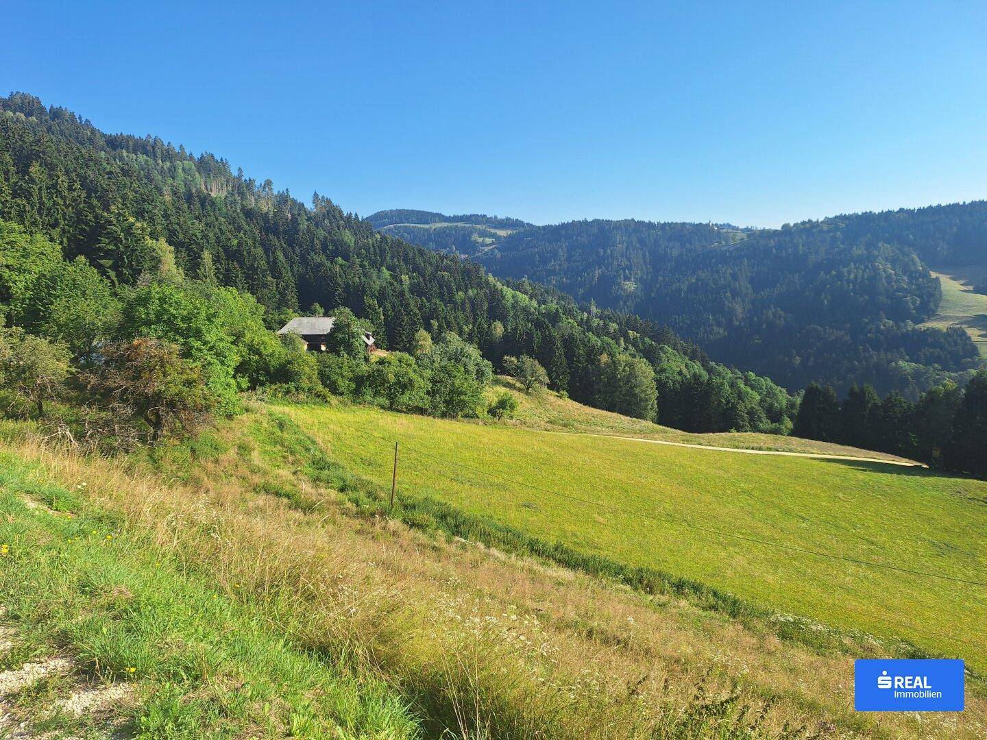 Weitläufige Landschaft mit grünen Wiesen, dichten Wäldern und Bergen unter strahlend blauem Himmel.