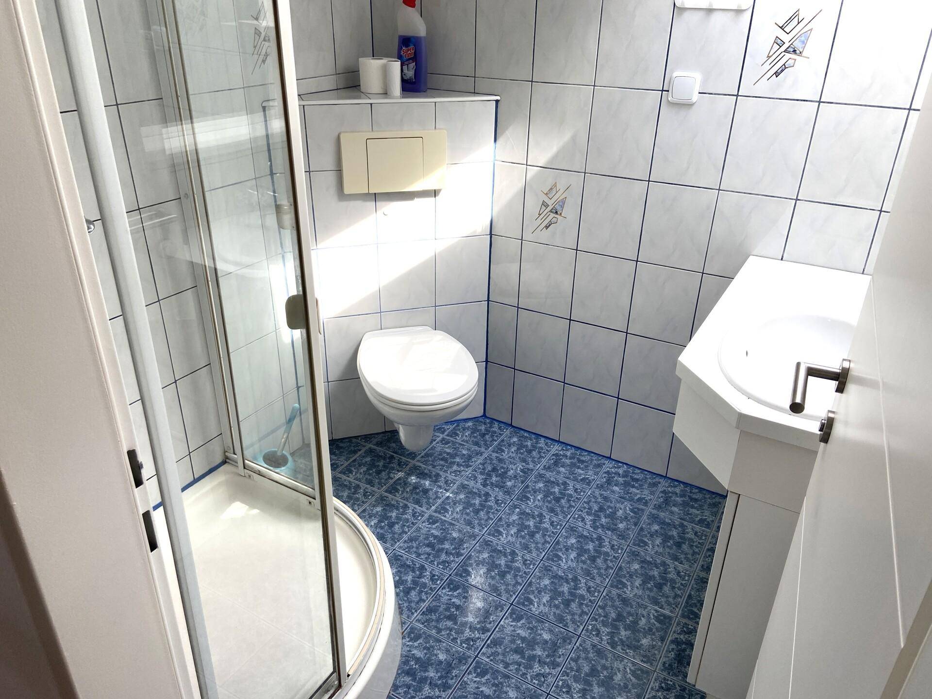 Badezimmer mit Dusche, WC und Waschbecken, ausgestattet mit blauen Fliesen.
