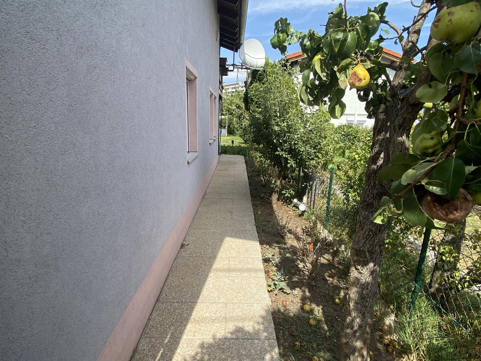 Seitenansicht des Hauses mit gepflastertem Zugang und Obstbäumen im Garten.