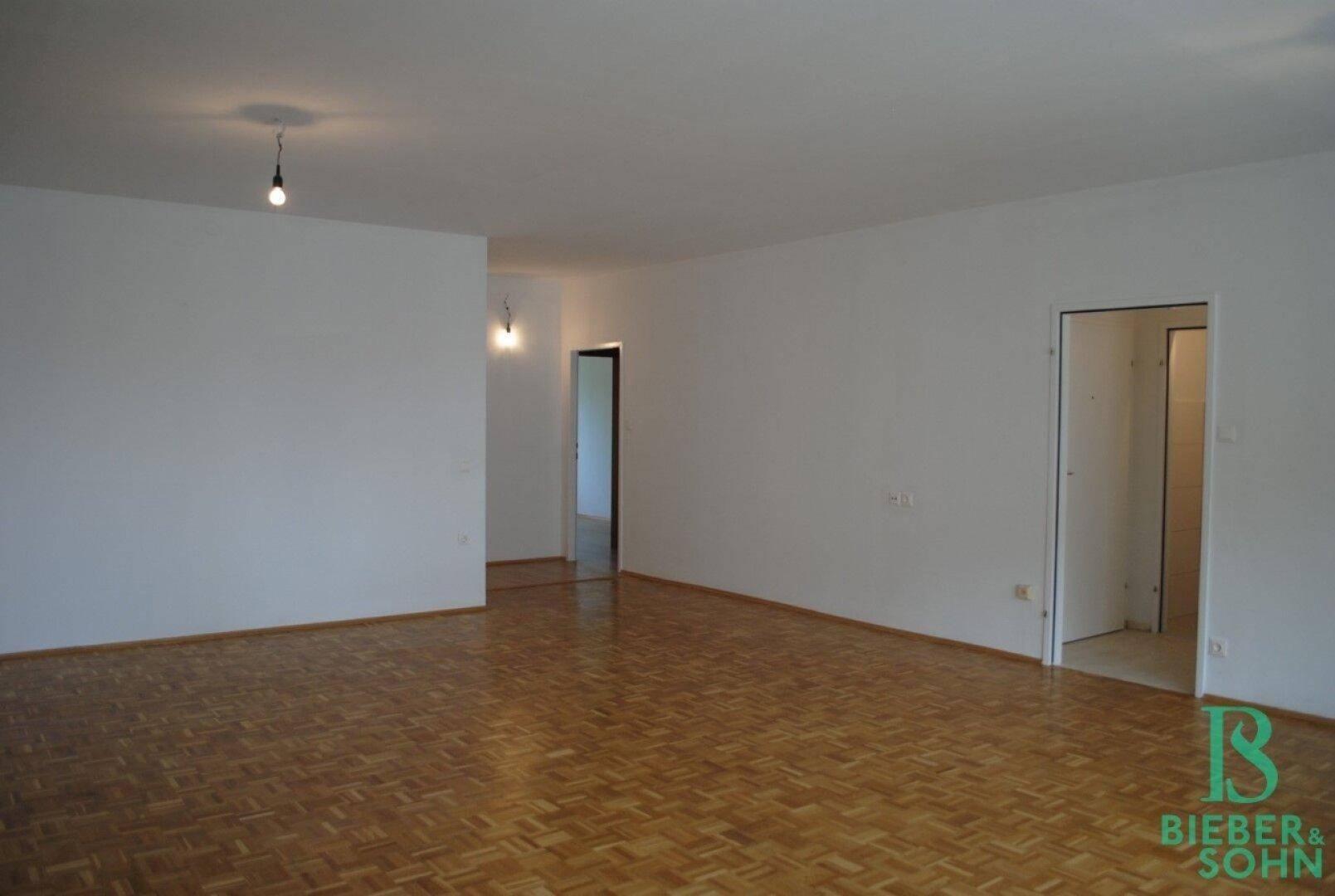 Wohnzimmer / Eingangsbereich / Vorraum - Zimmer
