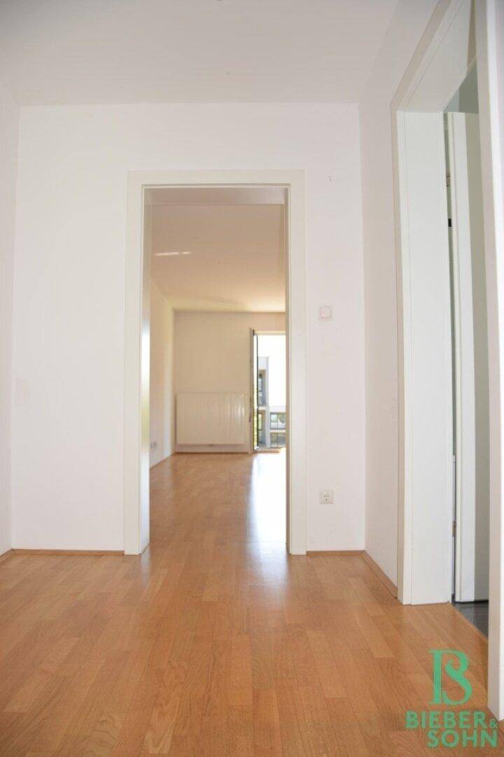 Flur/Blick Wohnraum