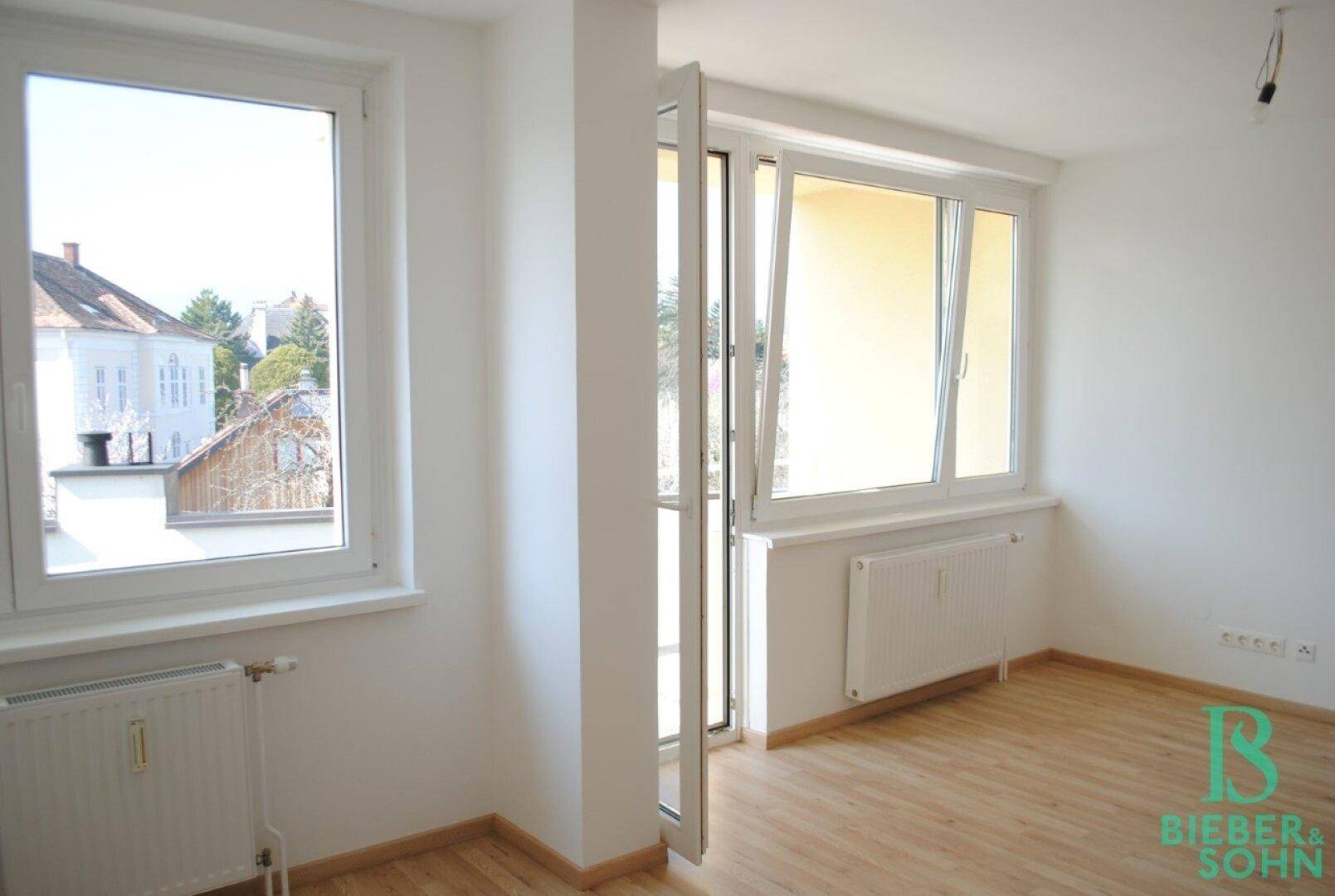 Wohnzimmer / Balkon