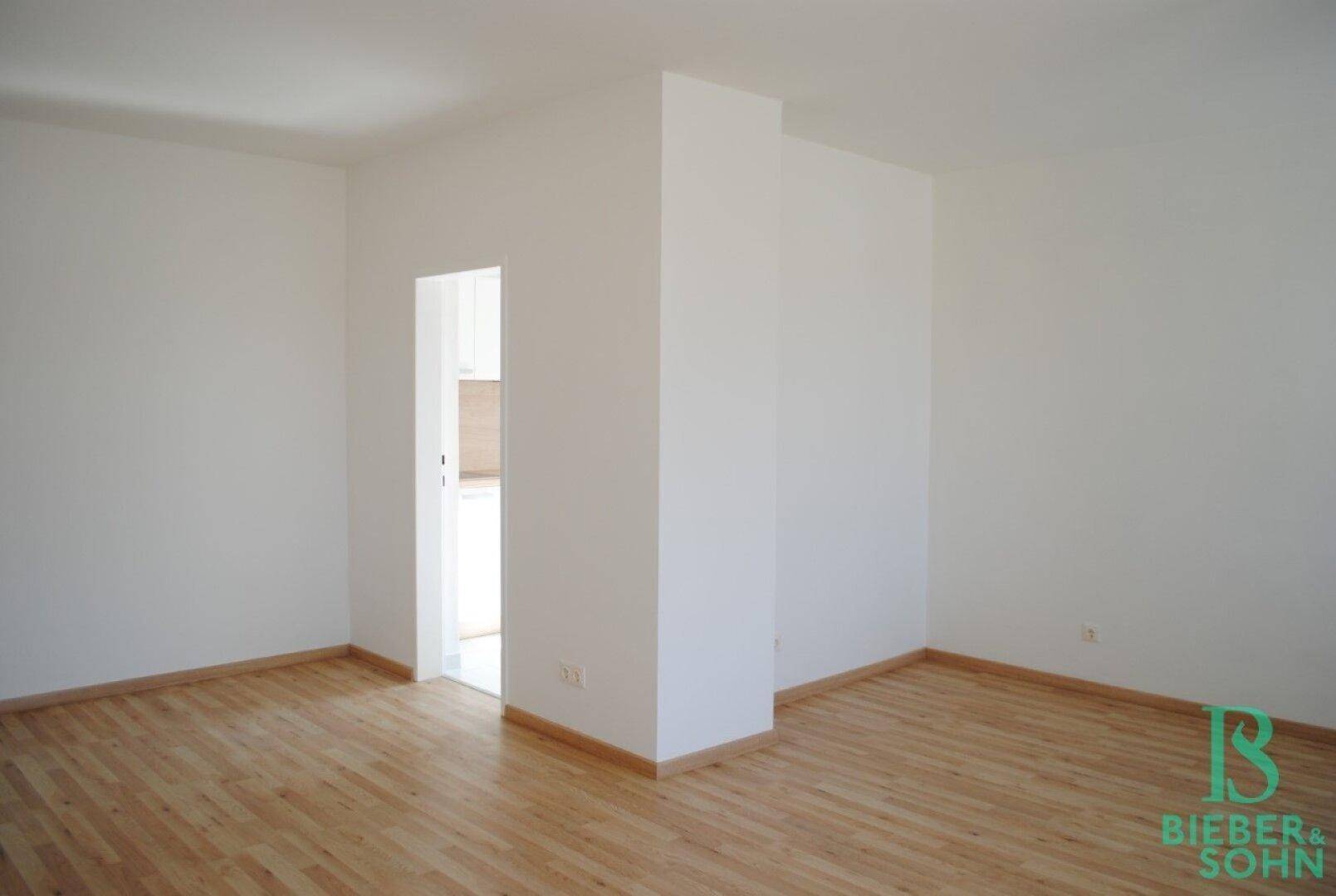 Wohnzimmer / Küche
