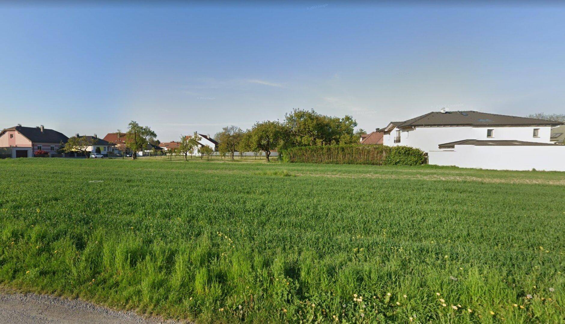 Grüne Wiese mit einer Hecke und modernen Häusern in der Ferne unter blauem Himmel.