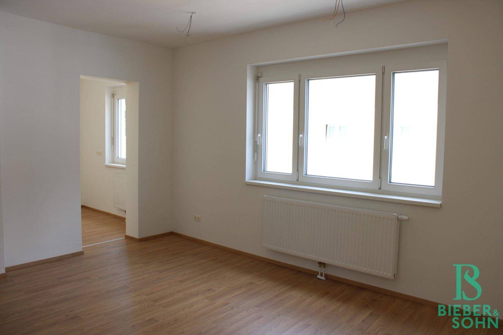 Wohnzimmer / Küche
