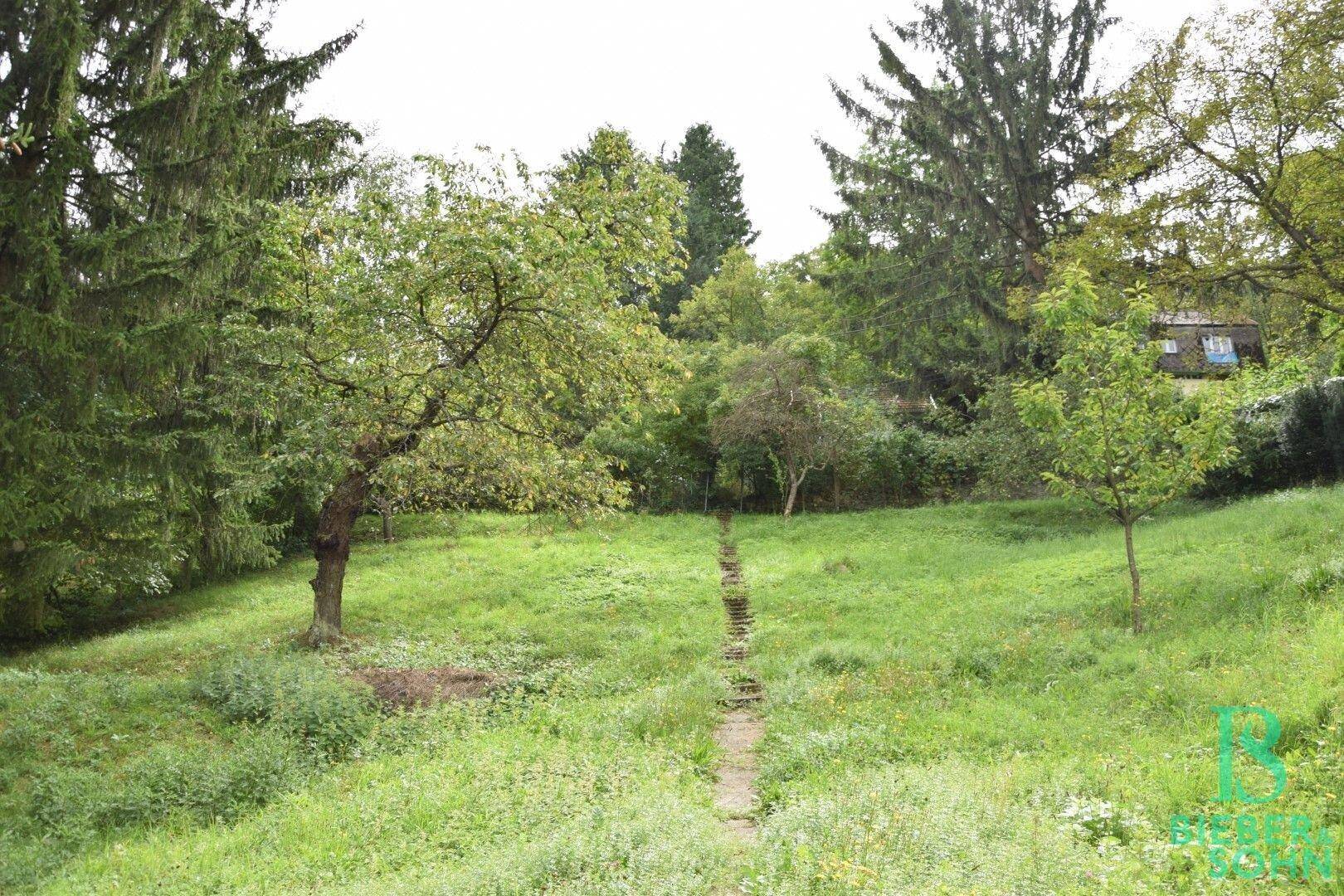 Großer, grüner Gartenbereich mit altem Baumbestand und natürlicher Landschaft.