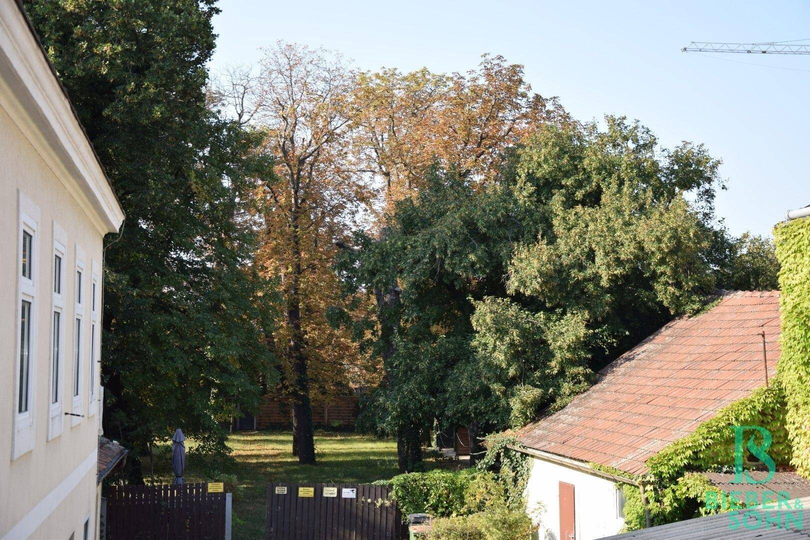 Blick in den Garten