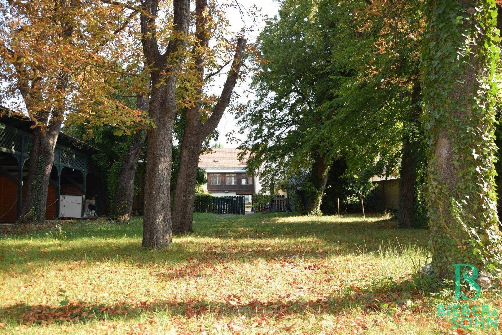 Garten/Blick Haus