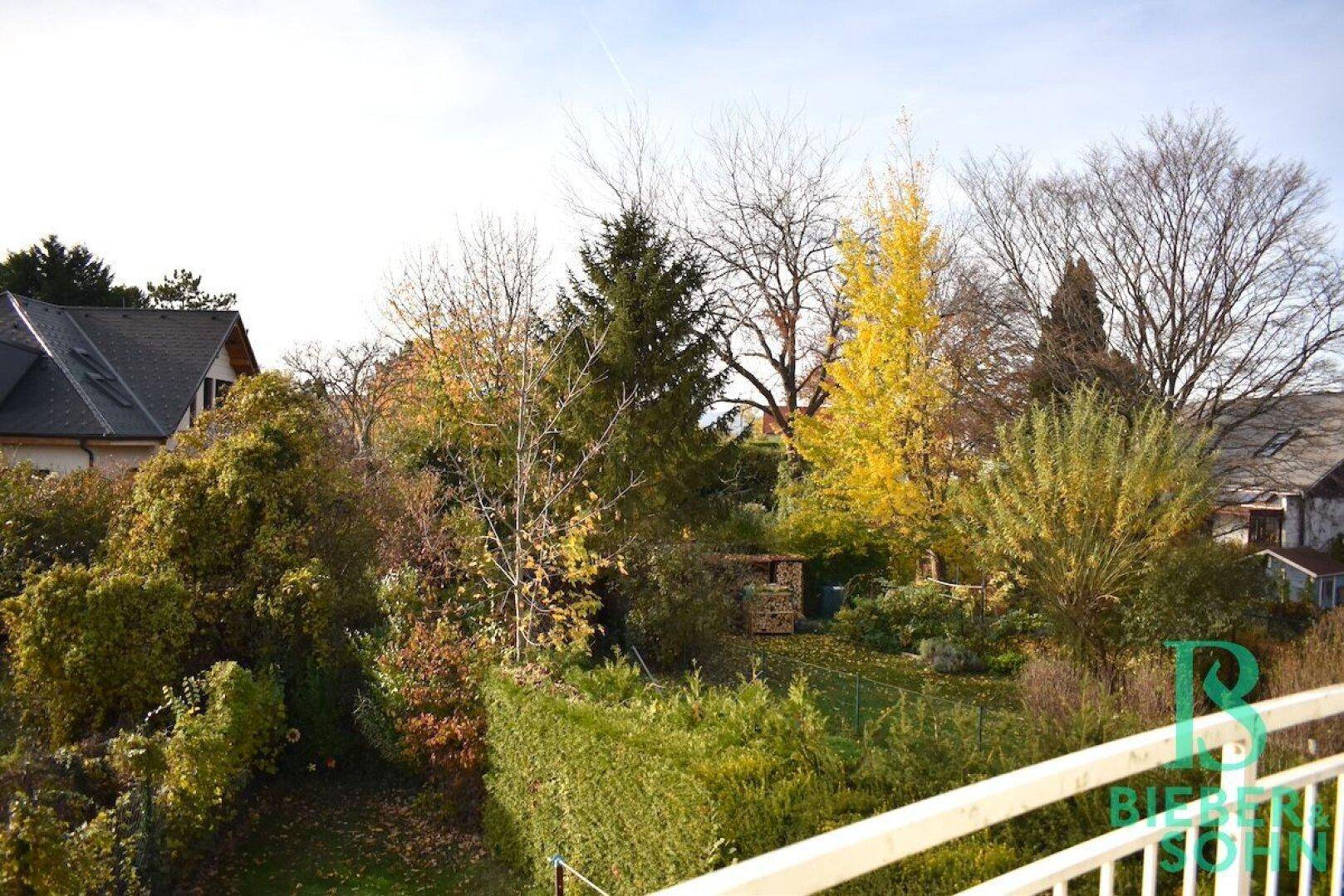 Ausblick Balkon OG