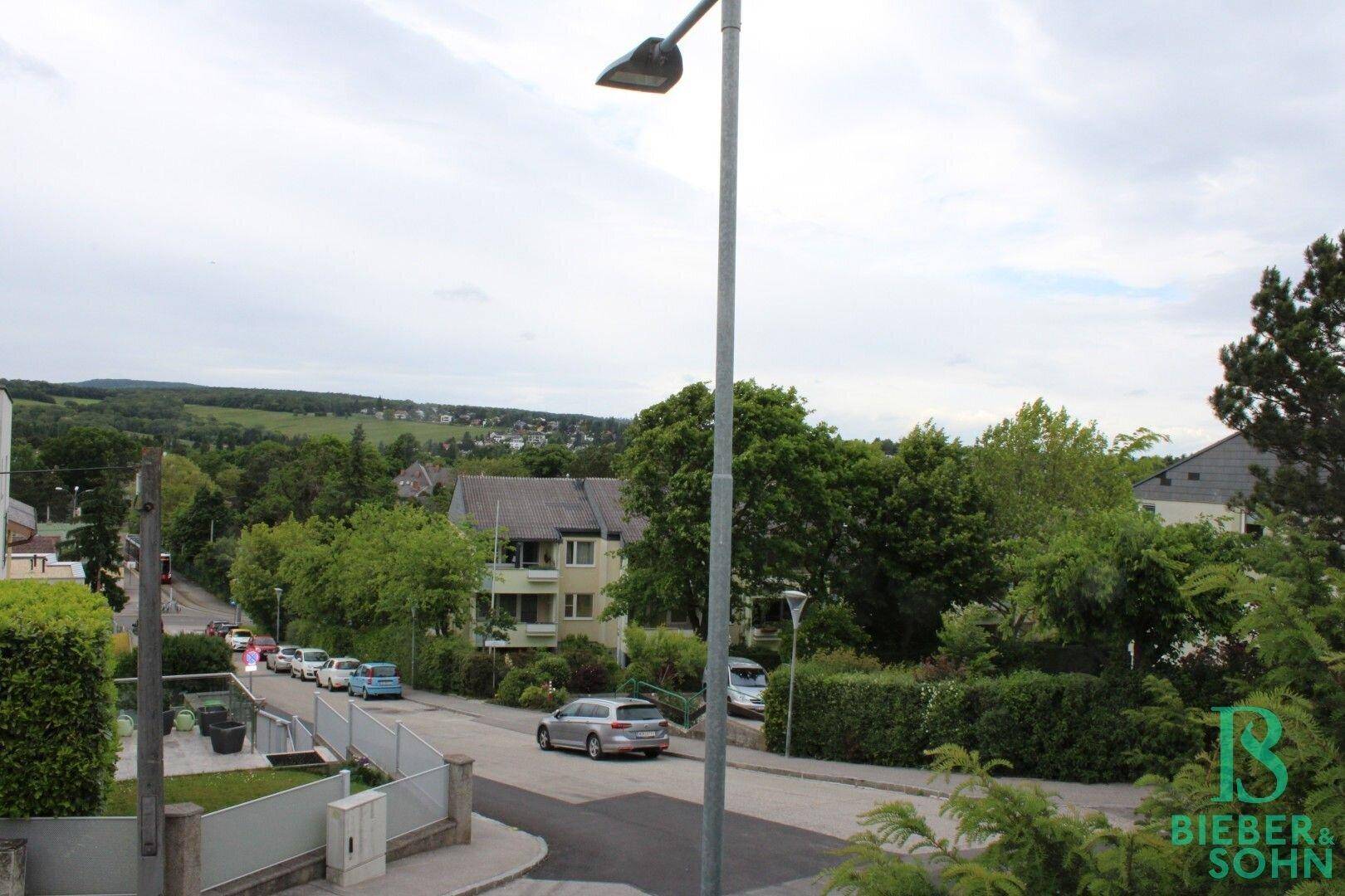 Blick auf die ruhige Wohnstraße mit parkenden Autos und grüner Umgebung.