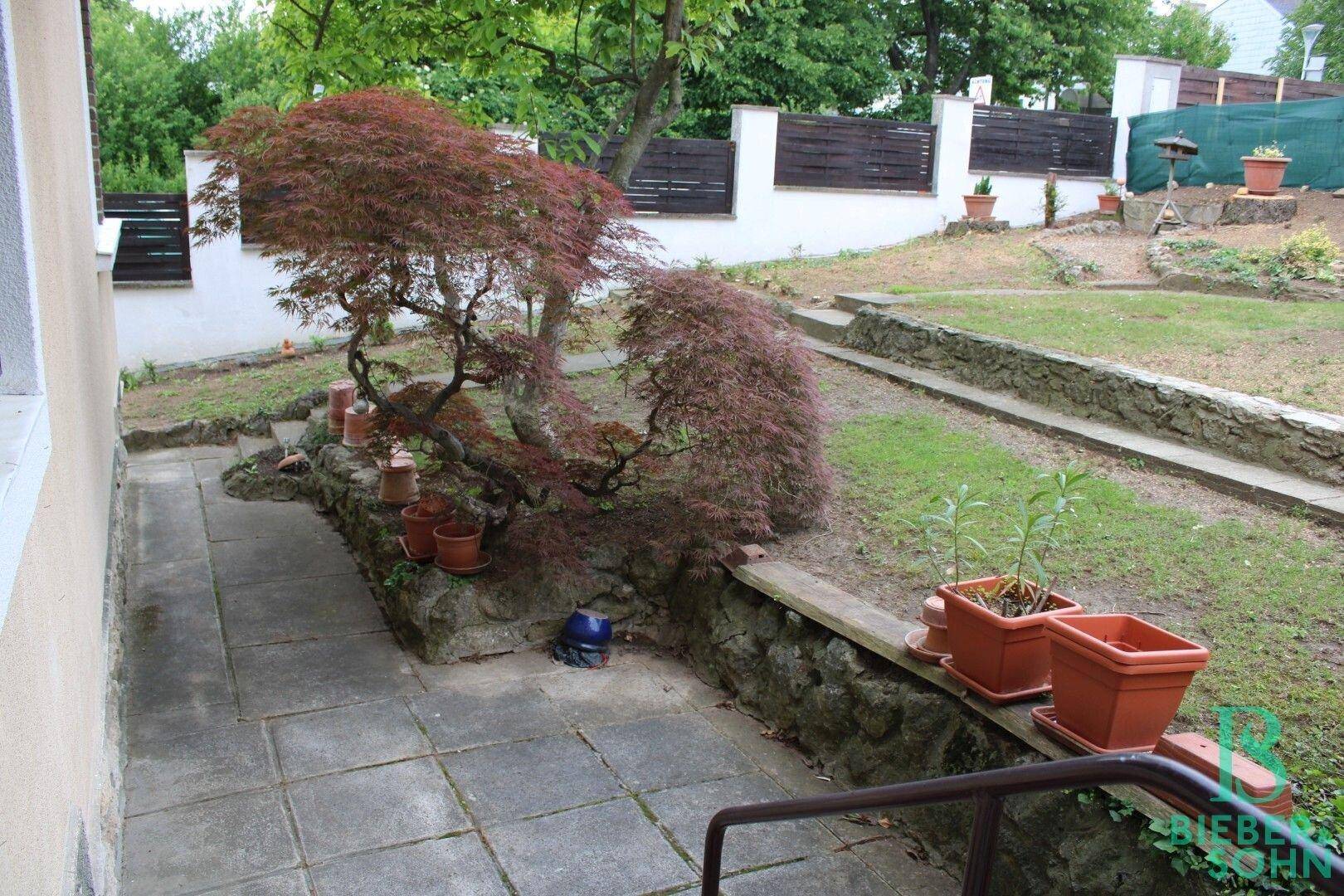 Gepflasterte Terrasse mit Pflanzen und einem gepflegten Gartenbereich.