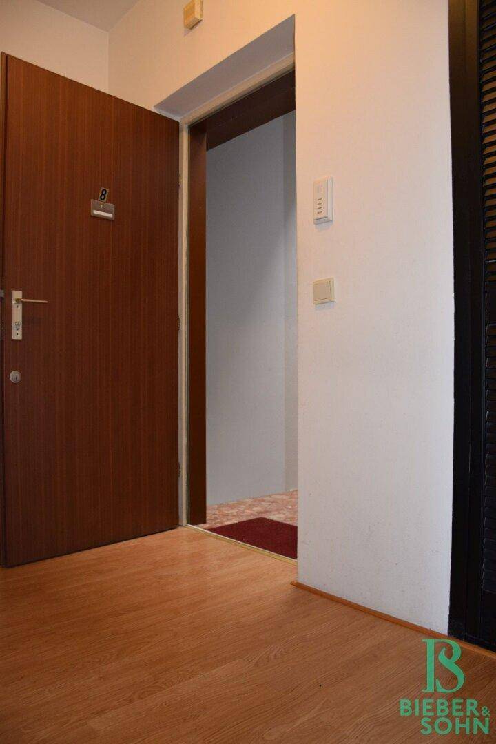 Eingangsbereich mit Holztür und hellem Laminatboden.