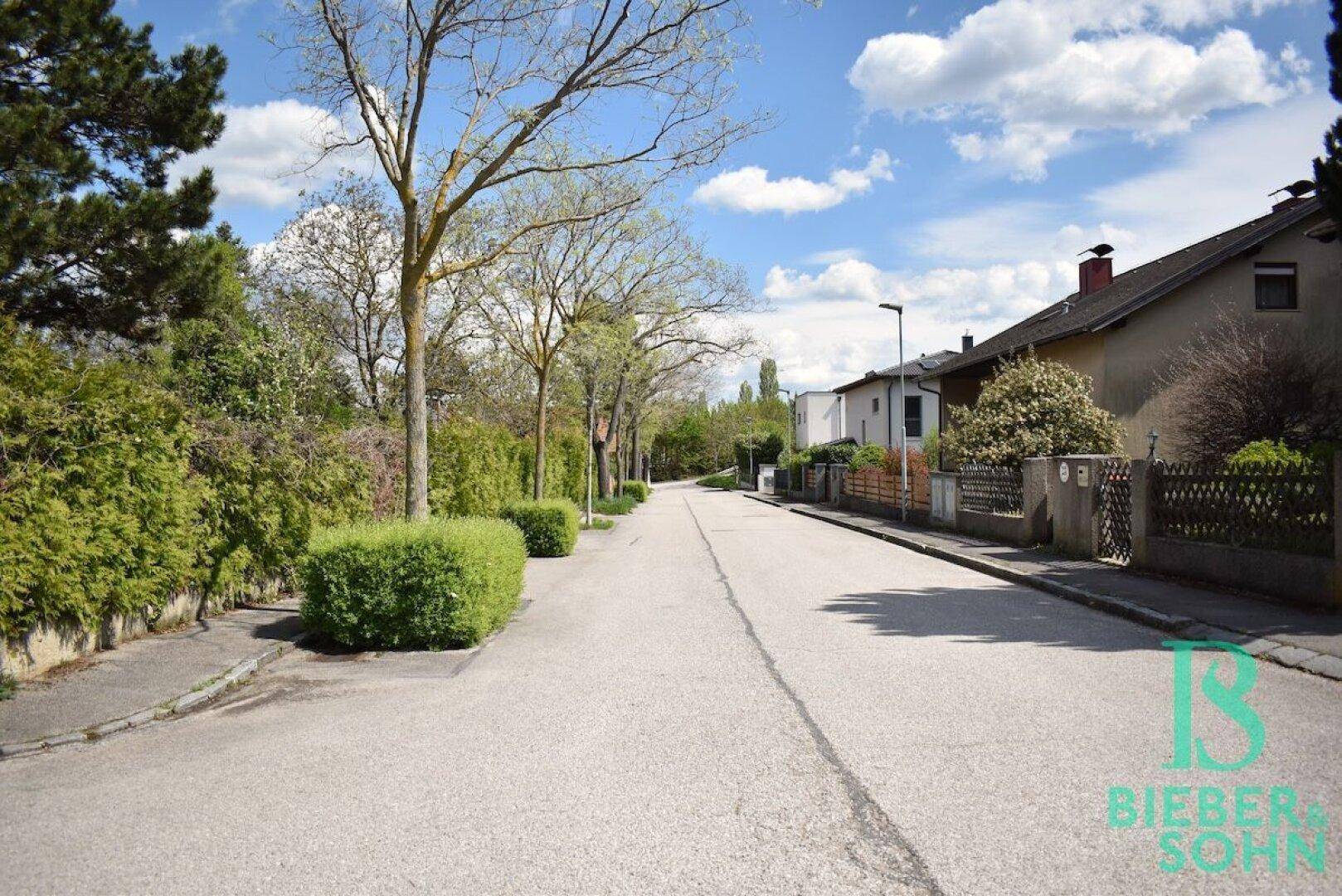Ruhige Wohnstraße mit Bäumen und gepflegten Hecken an einem sonnigen Tag.