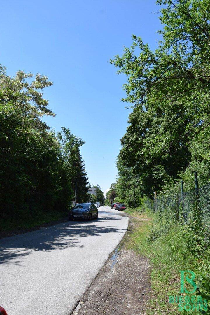 Eine von Bäumen gesäumte Straße mit Fahrzeugen unter klarem blauem Himmel.