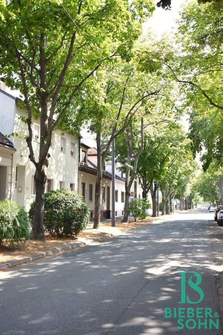 Ruhige Wohnstraße mit vielen Bäumen und gepflegten Häusern an einem sonnigen Tag.