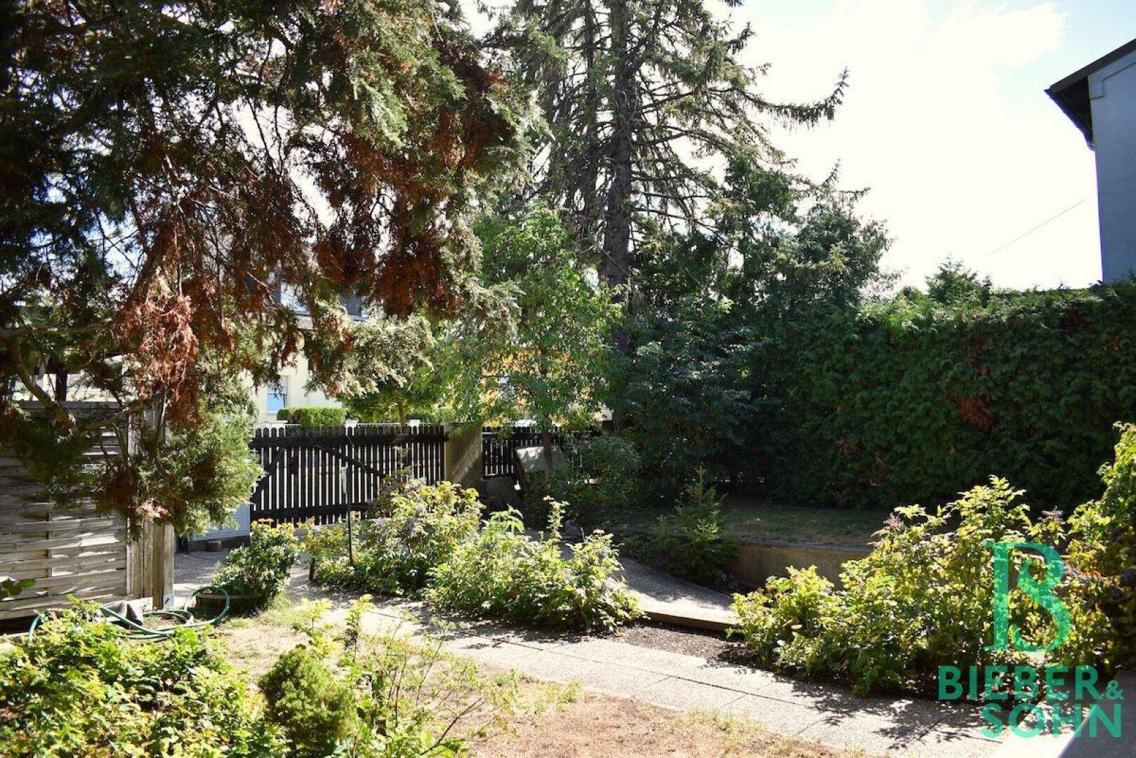 Gepflegter Gartenbereich mit Rasenfläche, Sträuchern und einem Holzzaun.