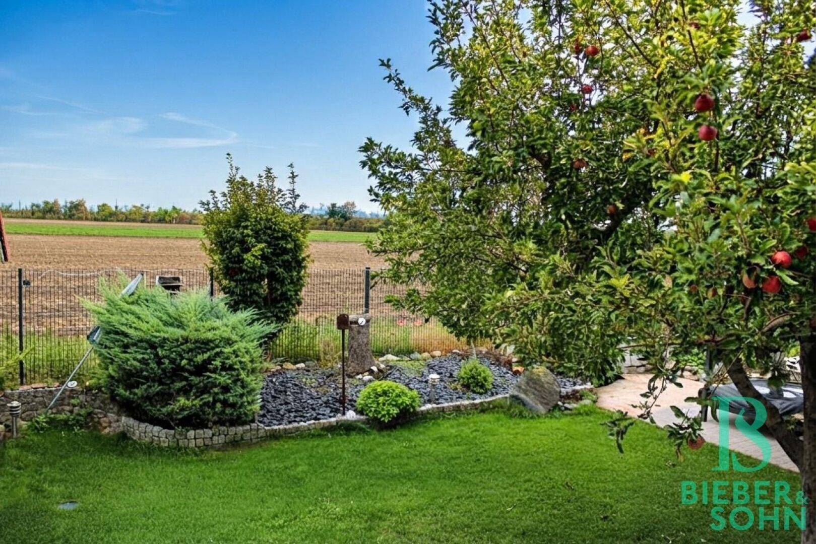 Idyllischer Gartenbereich mit grüner Rasenfläche, Ziersträuchern und Obstbäumen.