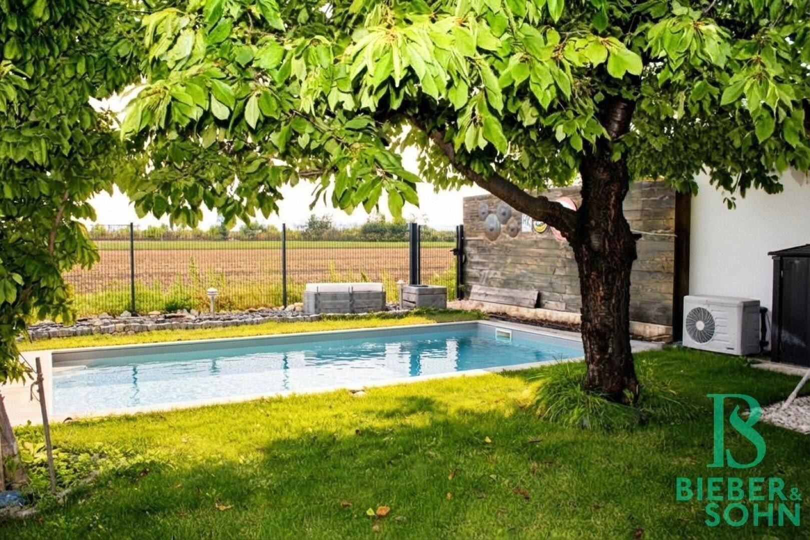 Sonnige Gartenoase mit kleinem Pool, Rasenfläche und schattenspendendem Baum.