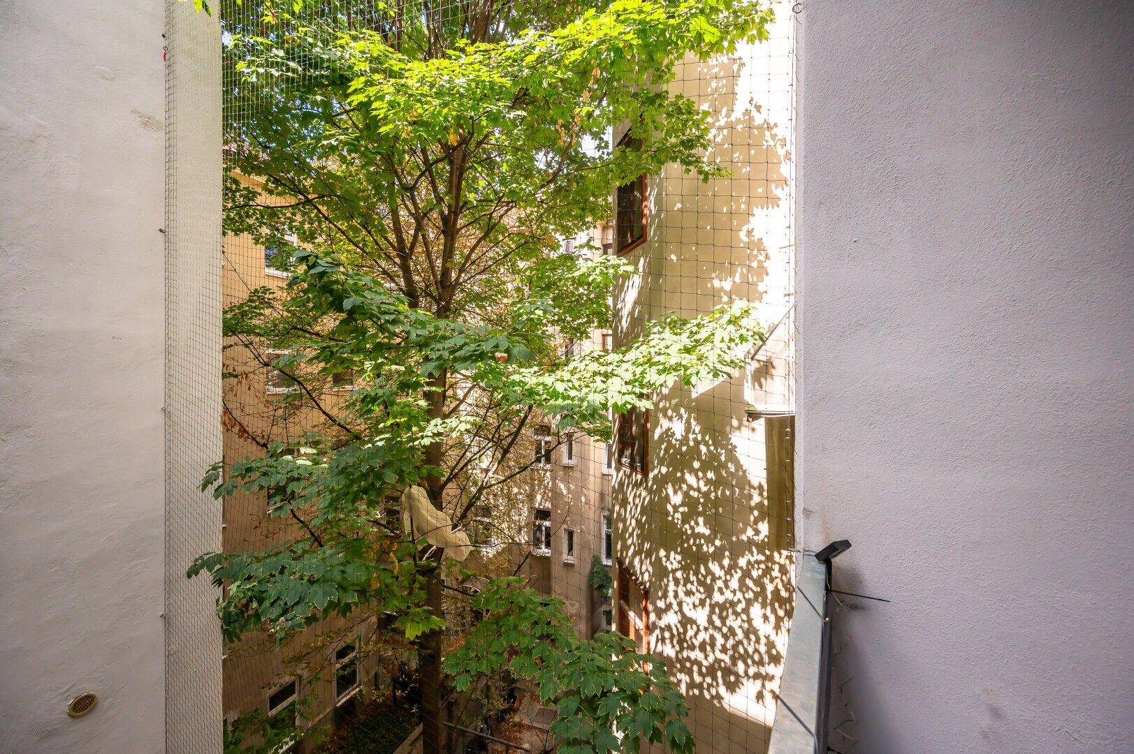Blick vom Balkon in einen grünen Innenhof mit altem, hohen Baum.