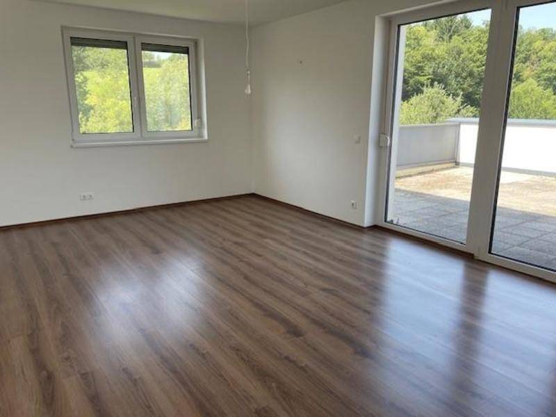 Wohn-Esszimmer