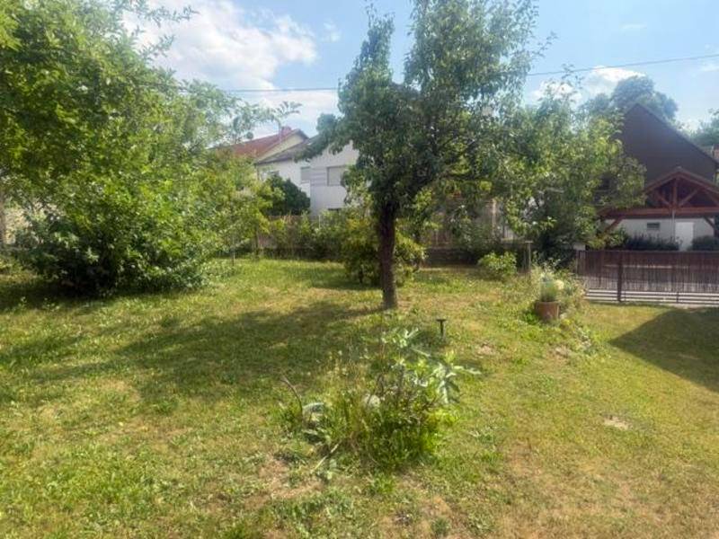 Gepflegter Garten mit Rasenfläche und mehreren Obstbäumen unter blauem Himmel.
