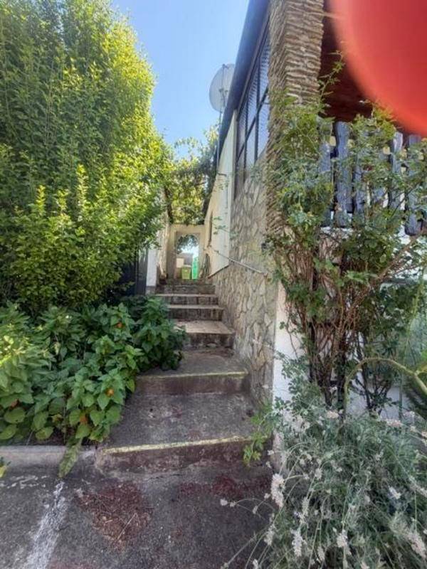 Steintreppe führt durch dichte Vegetation zum Eingang eines Hauses mit rustikaler Steinmauer.