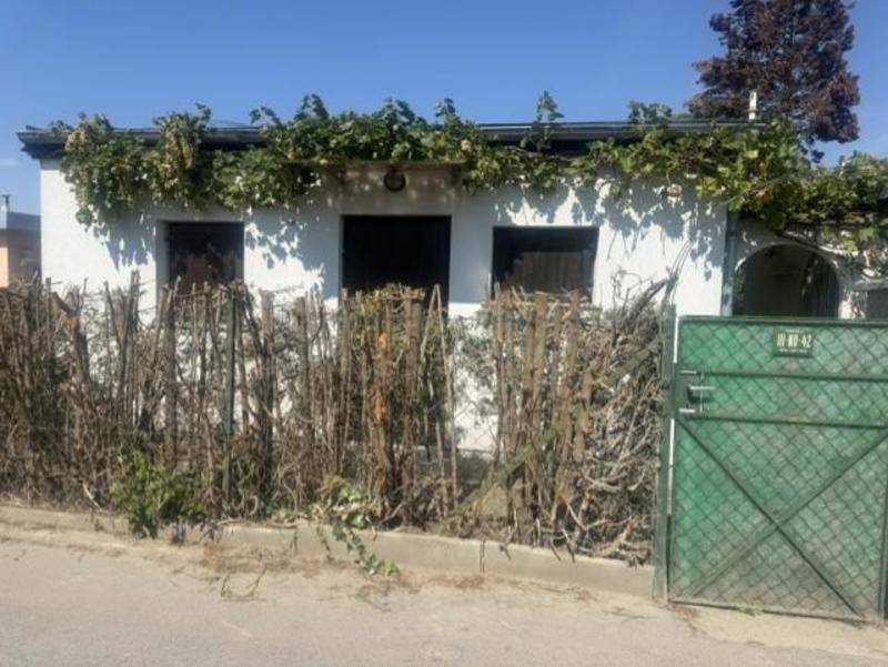 Vorderansicht eines Hauses mit bewachsener Fassade, einem Holzzaun und einem grünen Metalltor.