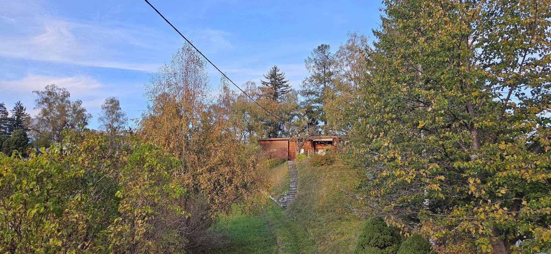 Das Haus ist auf einem bewachsenen Hügel eingebettet, umgeben von dichtem Baumbestand unter blauem Himmel.