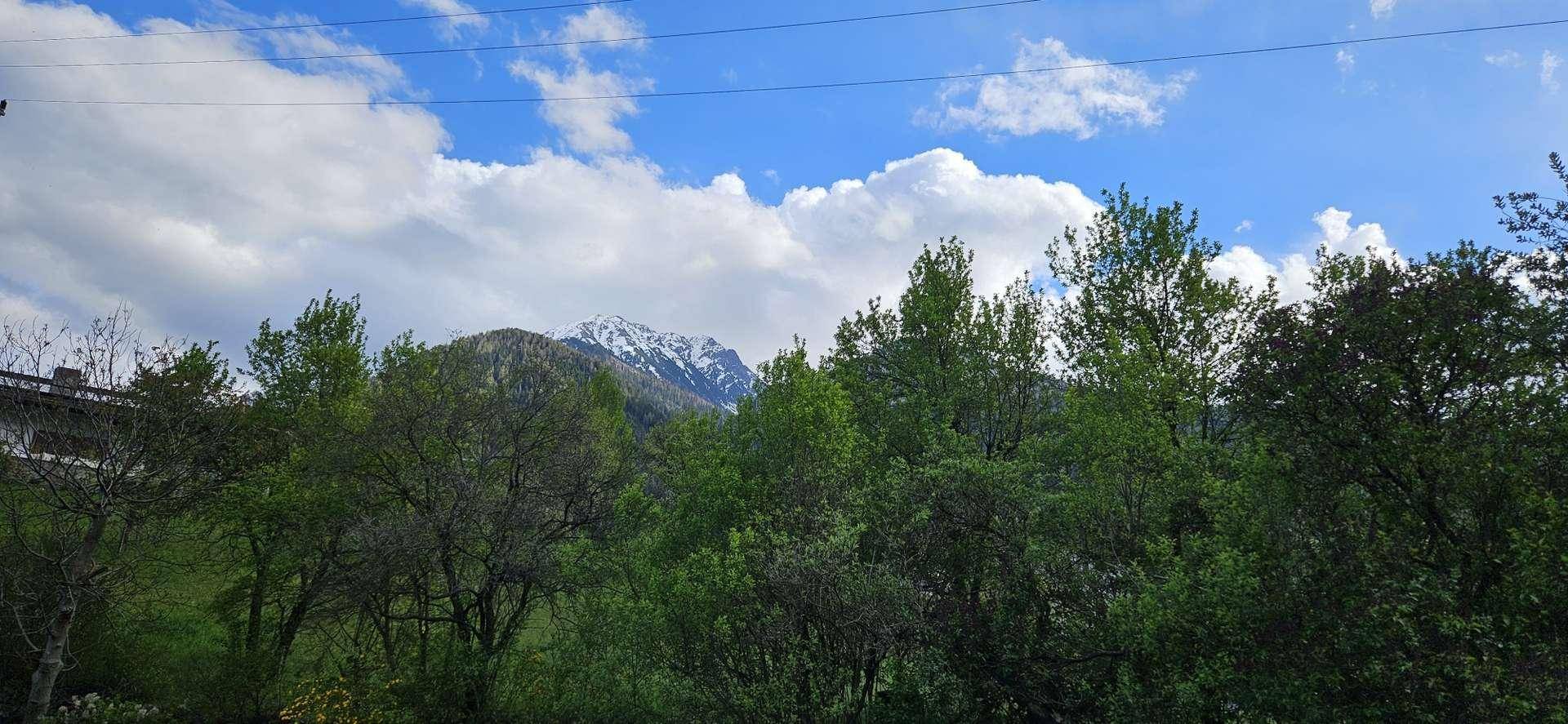 Blick durch grüne Bäume auf schneebedeckte Berge unter einem blauen Himmel mit weißen Wolken.